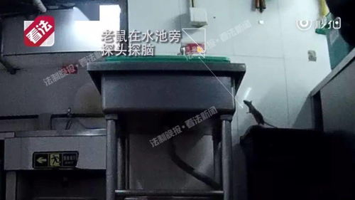 外卖,正在毁灭中国三代人,卧底拍下可怕真相