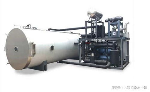 沙棘冻干粉技术和沙棘冻干机设备