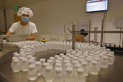 GE医疗坚定扎根中国信心，以更大规模参展第五届进博会